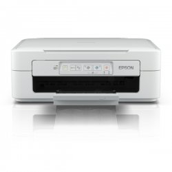 EXPRESSION HOME XP-247